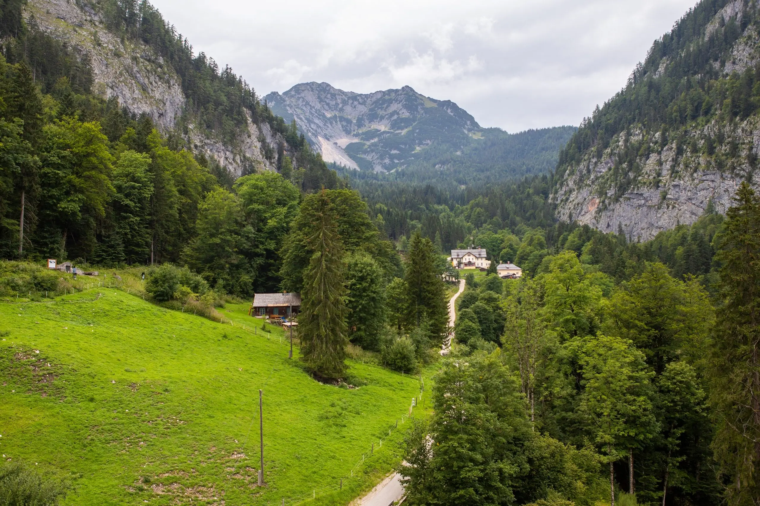 z5945018438470_7d76530c18f3921216ef58958bb77167-1-scaled